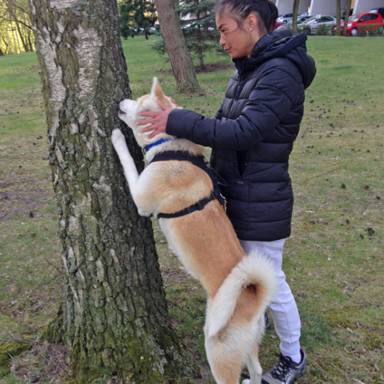 Hundetrainer Stefan Thal „Hachiko" - 2