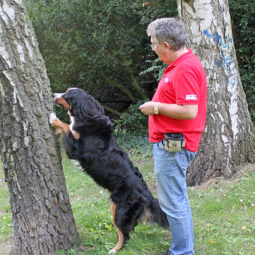 Hundetrainer Stefan Thal - "Ginny" - 5