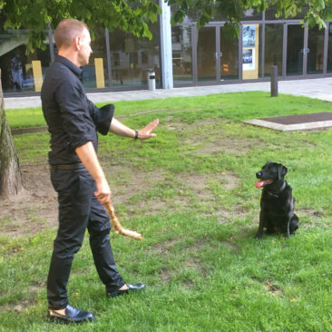 Hundetrainer Stefan Thal - "Fritz" - 7