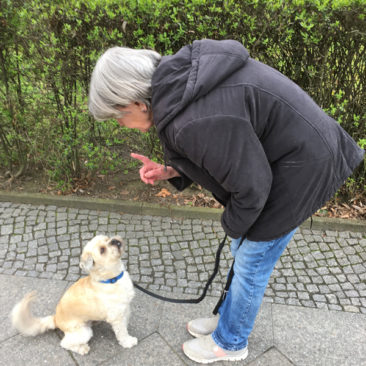 Hundetrainer Stefan Thal - Benni - 1