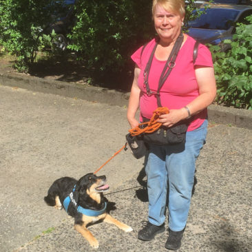 Hundetrainer Stefan Thal - "Nono" - 4