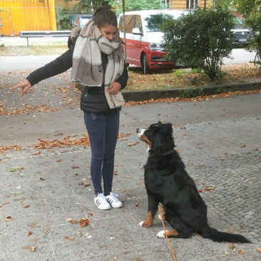 Hundetrainer Stefan Thal - "Thilda" - 2