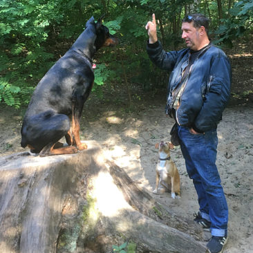 Hundetrainer Stefan Thal - Sven - 9