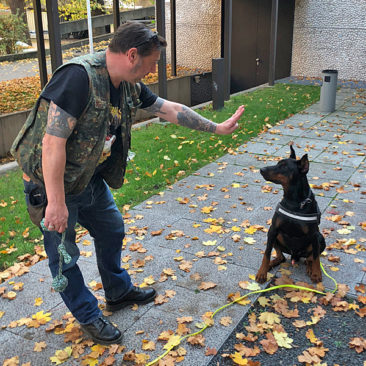 Hundetrainer Stefan Thal - Sven - 2