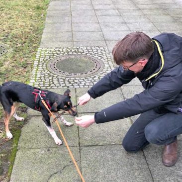 Hundetrainer Stefan Thal „Charly" - 3