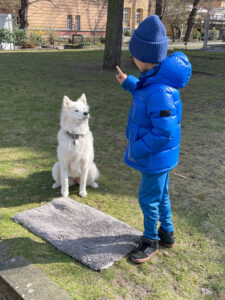 								 								 								 								 								 								 								 								 								 								 								 								 								 Hundetrainer Stefan Thal - Junghundetraining					 								 								 								 								 								 								 								 								 																																														