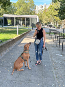 								 								 								 								 								 								 								 Hundetrainer Stefan Thal - Einzeltraining					 								 								 								 								 								 								 								 								 																																		